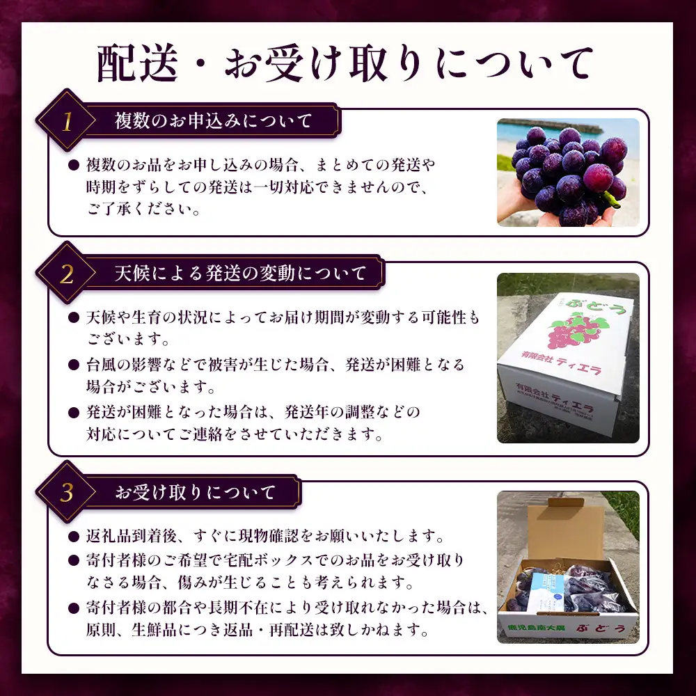 【もうすぐ終了・～9/15まで】本土最南端のぶどう 高墨 約2kg(4～6房）種無し TE-2｜ 黒ぶどう たかすみ 産地直送 旬 ブドウ 葡萄 ぶどう フルーツ 果物 くだもの 数量限定 果実 巨峰 枝変わり 鹿児島県 南大隅町 有限会社ティエラ　