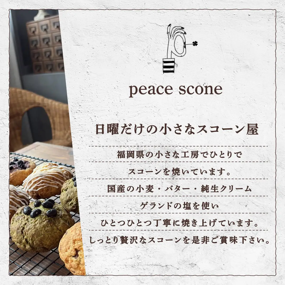 生クリーム スコーン おまかせ 5種10個セット
