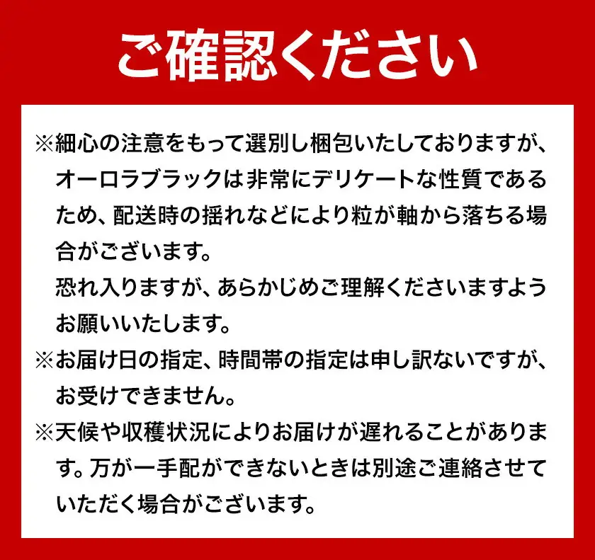 【2027年先行予約】岡山県産 ご家庭用 オーロラブラック 2～3房 約1.2kg【配送不可地域：離島】