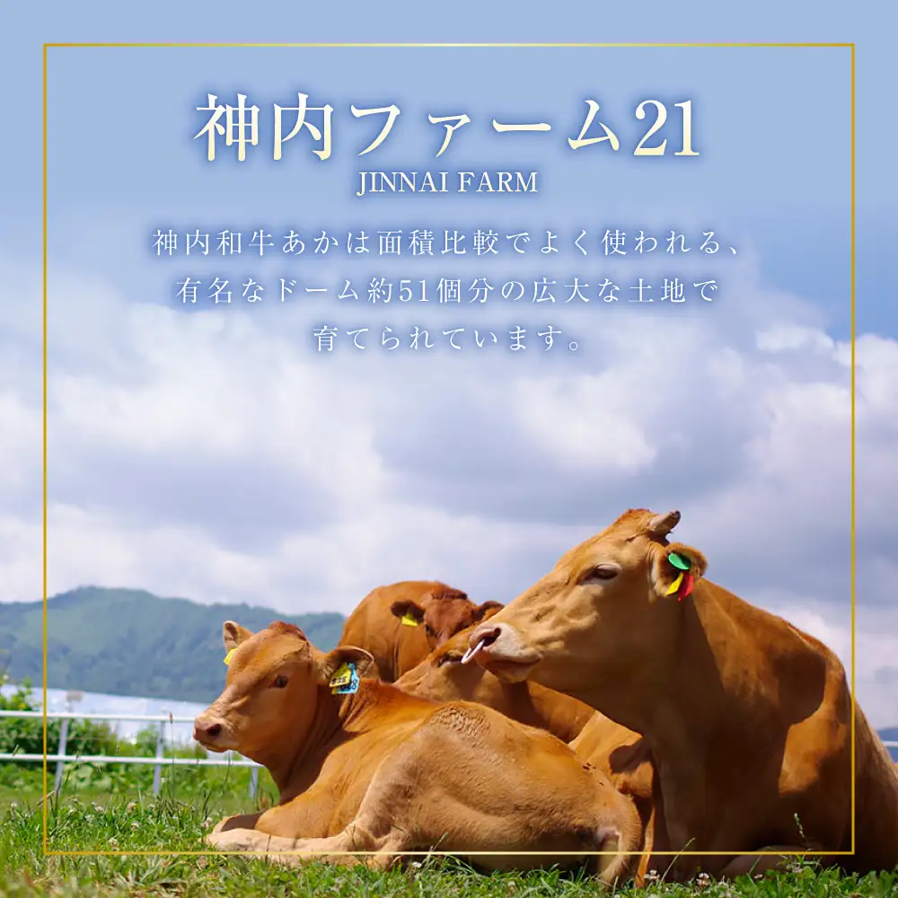 【 ふるなび限定 】 神内和牛あか 100%ビーフハンバーグ 14枚入り （ 2枚入り × 7パック ） ハンバーグ ビーフハンバーグ 特製ハンバーグ 牛肉 牛 お肉 肉 ニク にく おかず 惣菜 冷凍