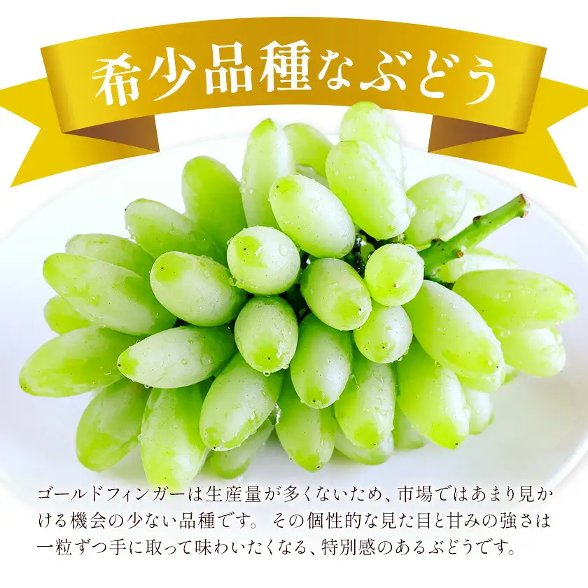 【2027年発送先行予約】岡山県産 ゴールドフィンガー 1房 約400g【配送不可地域：離島】