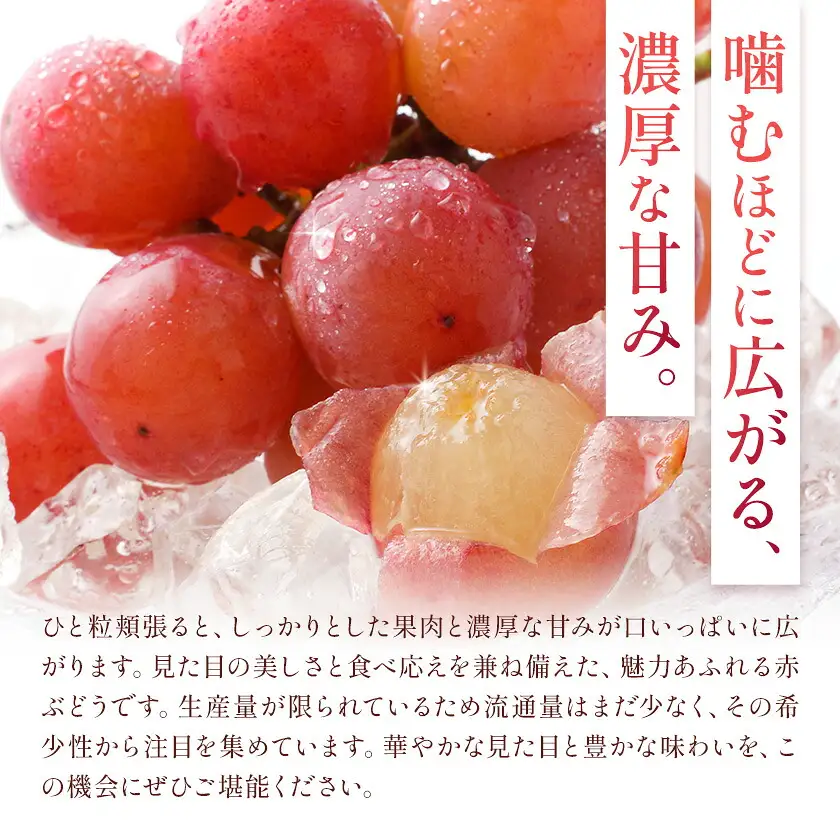 【2027年先行予約】ご家庭用 岡山県産 クインニーナ 約1.2kg 2～3房【配送不可地域：離島】