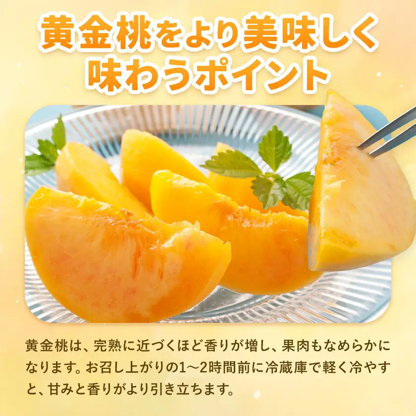 【2027年発送先行予約】ご家庭用 岡山県産 黄金桃 約1.5kg 5～6玉【配送不可地域：離島】