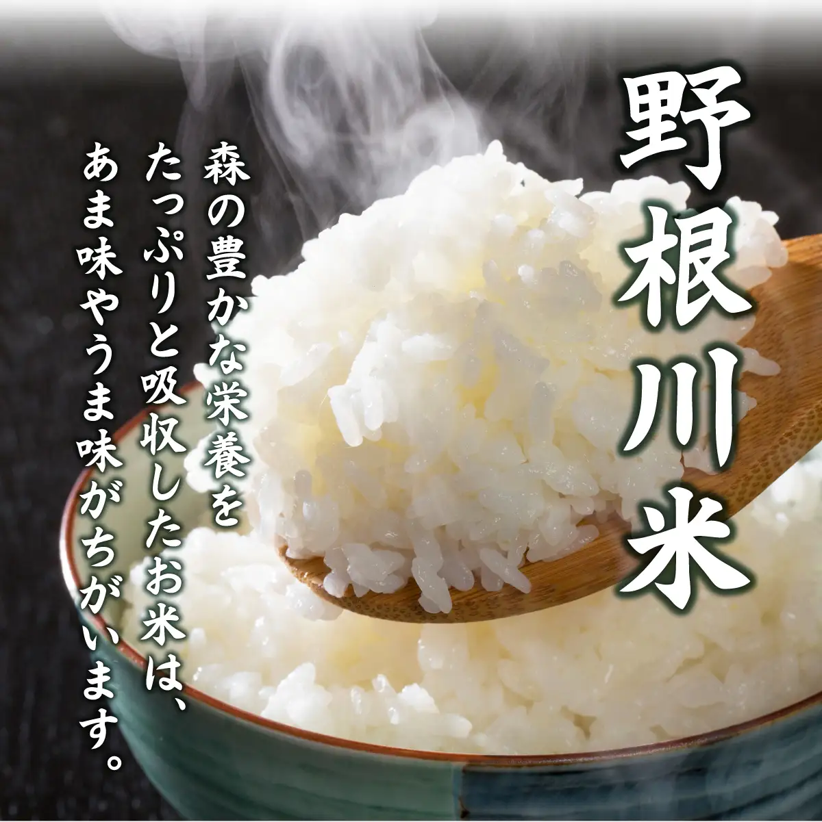 ＜定期便全5回＞令和8年産 野根川米5kg こしひかり 米 国産 コメ