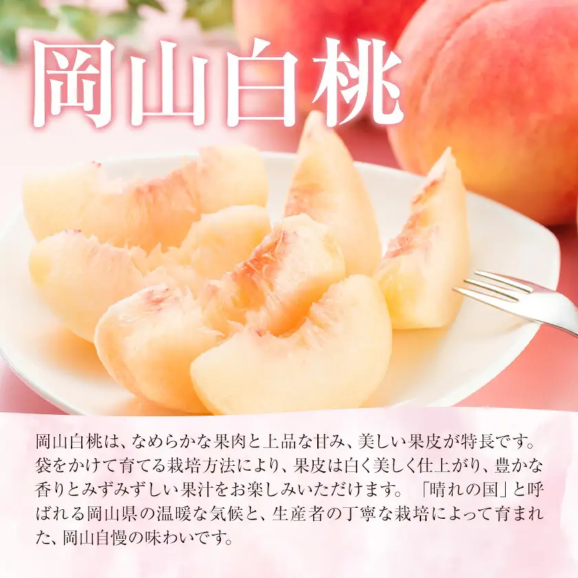 【2027年発送先行予約】岡山白桃 2種 食べ比べ 約750g(3玉)×2種【配送不可地域：離島】
