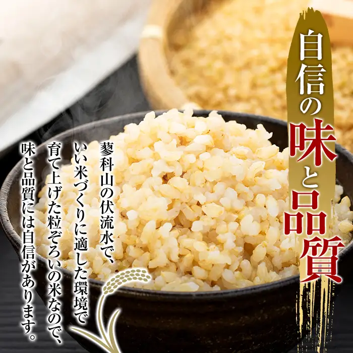 【令和8年産米】信州たてしな産 蓼科自然の恵 (玄米) 5kg