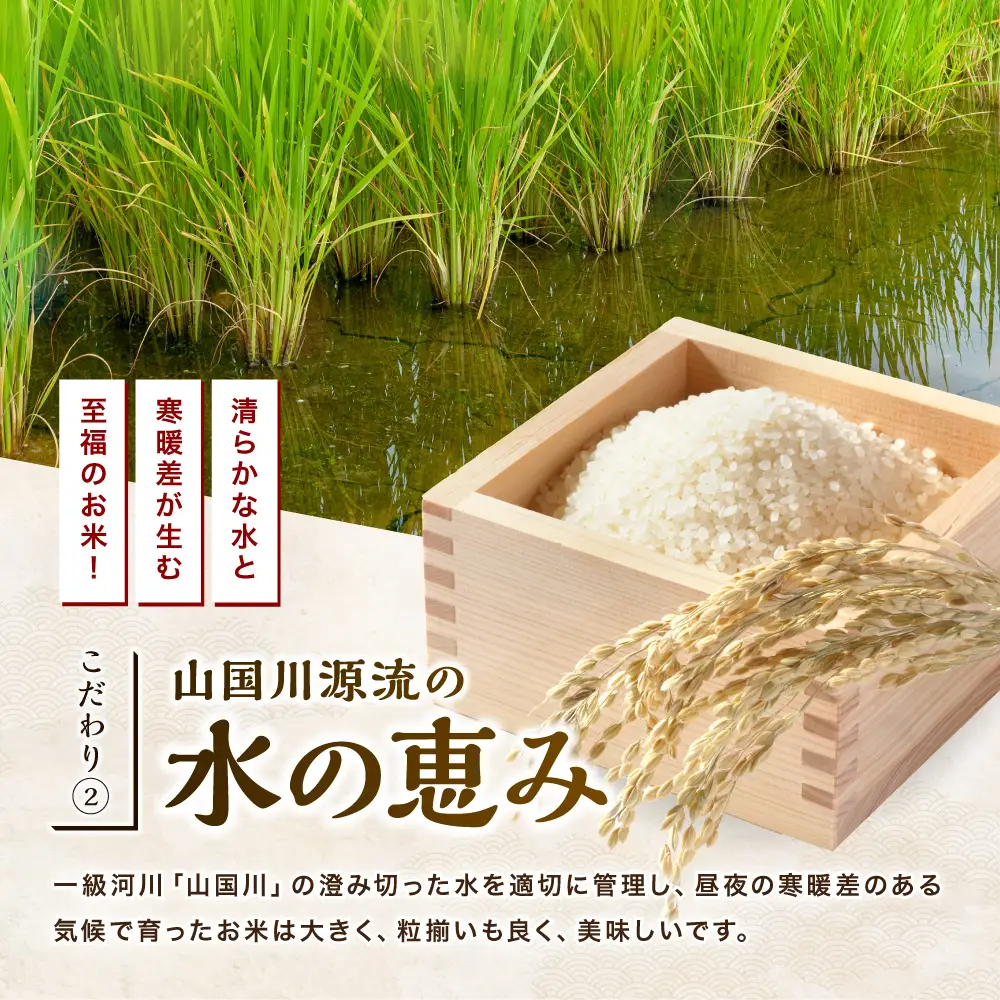 【寄附使途限定】【定期便3回】大分県中津市産 やまくに誉（ほまれ）やまくに誉 にこまる 10kg ( 5kg × 2袋 ) | お米 白米 精米 うるち米 単一米 ご飯 産地直送 ブランド米 国産米 九州 大分県 中津市