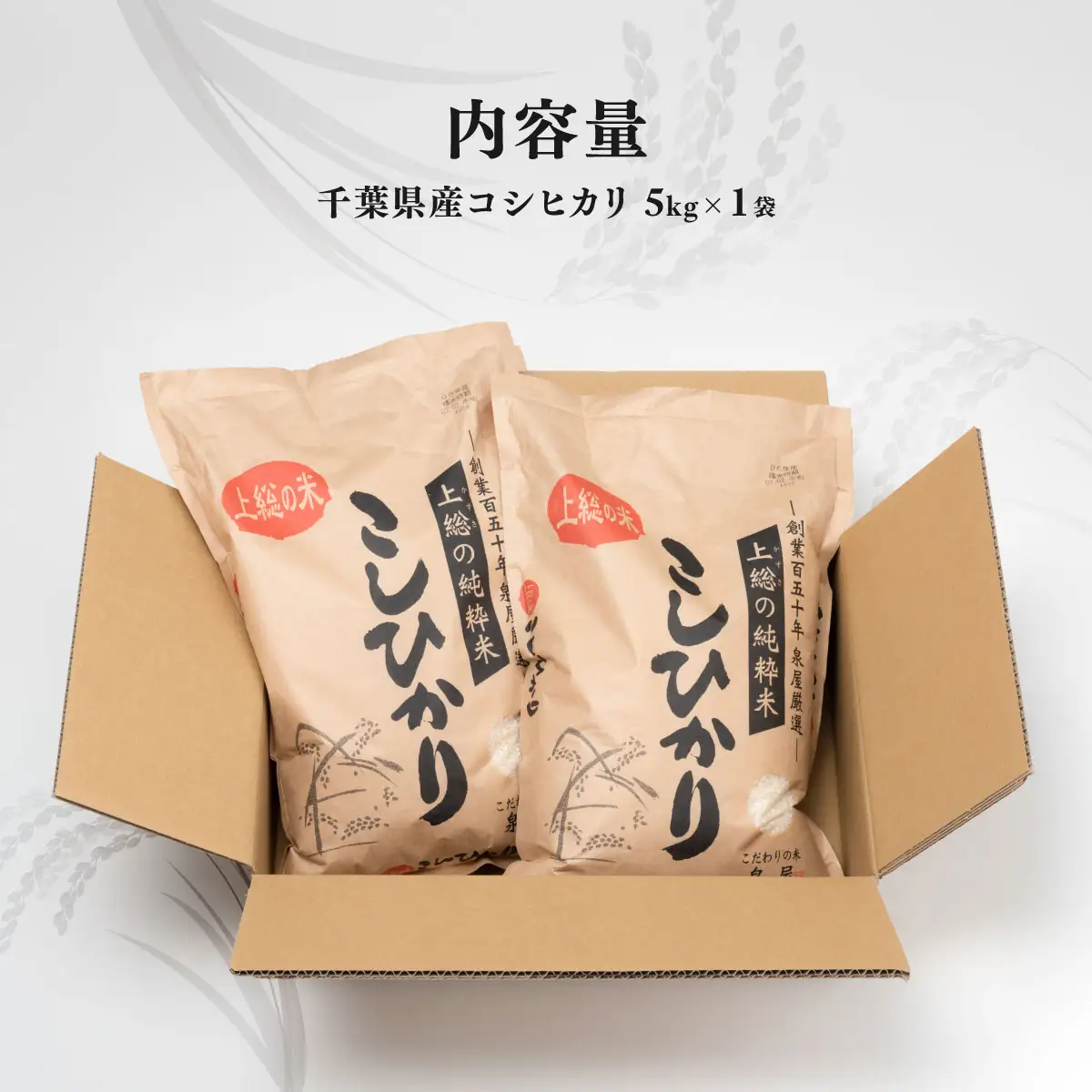 【最短2～7営業日にて出荷】令和8年度産  上総の純粋米「コシヒカリ」　5kg　【厳選】千葉県産   KCV002