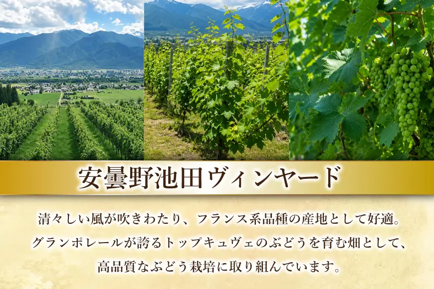 ワイン セット サッポログランポレール 安曇野池田ヴィンヤードワイン 白2種セット 750ml 計2本