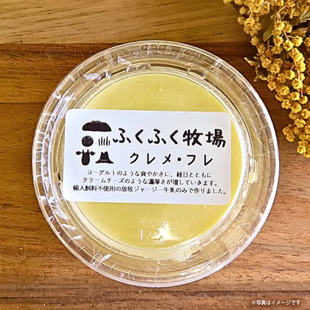 ふくふく牧場 ふくふくチーズ 6点セット（6種 合計約450g） | 国産 チーズ グラスフェッド 放牧 【牛飼いの手作りチーズ】 詰め合わせ バラエティ ギフト 贈り物 プレゼント