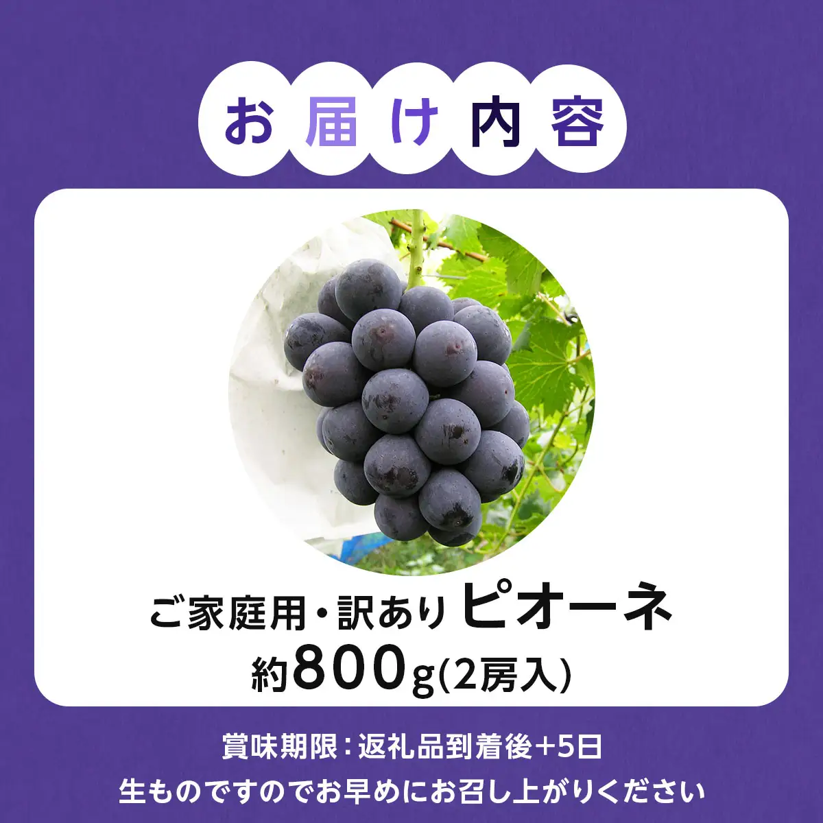 【ご家庭用・訳あり品】ピオーネ　約800g（2房入）