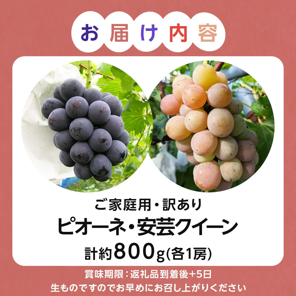 【ご家庭用・訳あり品】安芸クイーン・ピオーネ　約800g（2房入）