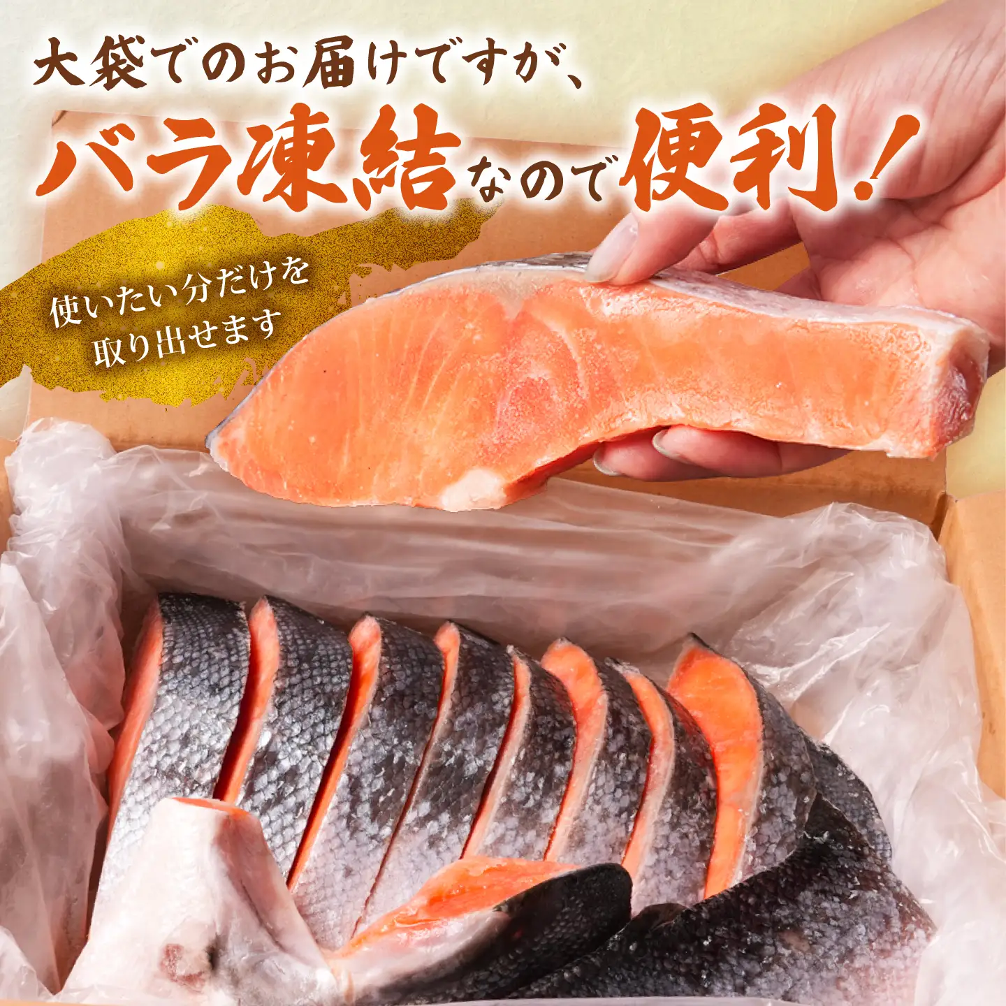 訳あり 厚切り 銀鮭 1.5kg 鮭