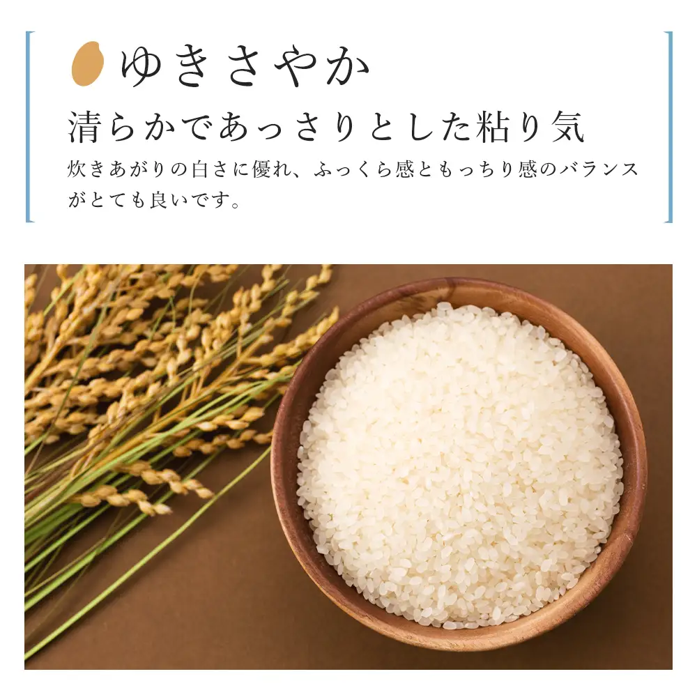 【令和8年産新米予約】 【9カ月定期便】特別栽培米産地直送「ゆきさやか 2kg」《帰山農園》