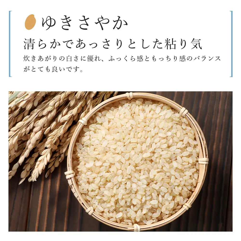 【令和8年産新米予約】 【9カ月定期便】特別栽培米産地直送「玄米ゆきさやか 5kg」《帰山農園》