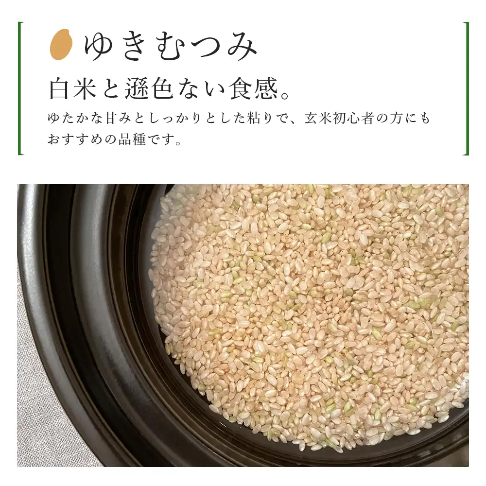 【令和8年産新米予約】 【定期便9カ月】新米発送 玄米「ゆきむつみ2kg」特別栽培米産地直送《帰山農園》