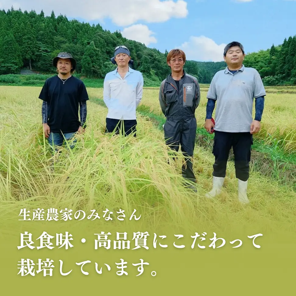 【定期便】【新米】【先行予約】 特別栽培 新潟産コシヒカリ 「出雲崎の輝き」 2kg 6か月 (9月下旬より順次発送予定 ) 令和8年産 合計12kg | コシヒカリ 新潟県 出雲崎町
