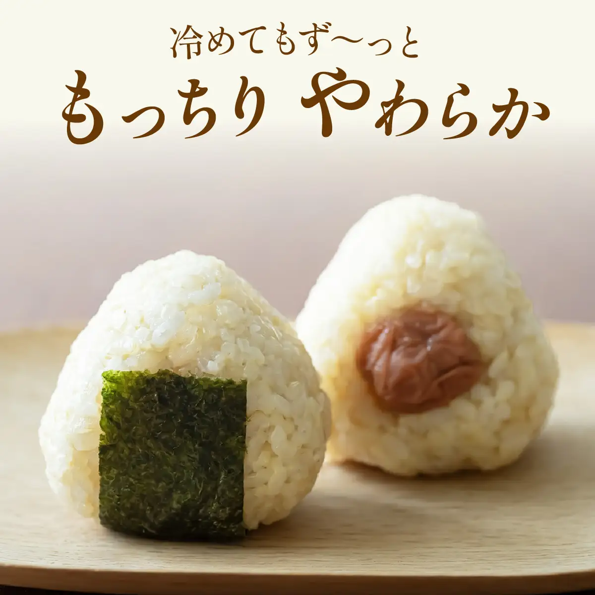 玄米 勝山産 コシヒカリ 玄米 10kg（5kg×2袋）【先行予約】