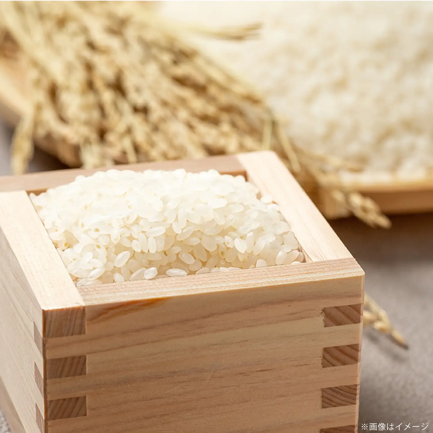 【先行予約 2026年10月～発送】ヒノヒカリ 白米 10kg 【片渕農園】令和8年産 新米 [IDG006]