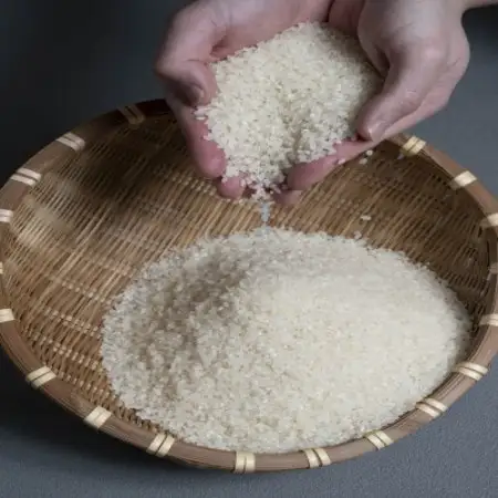 【発送月固定定期便】ななつぼし　5kg×1袋(1カ月周期)全3回【4091183】