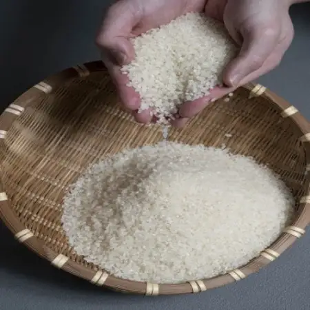 【発送月固定定期便】ななつぼし 5kg×2袋(10kg)(1カ月周期)全3回【4091184】