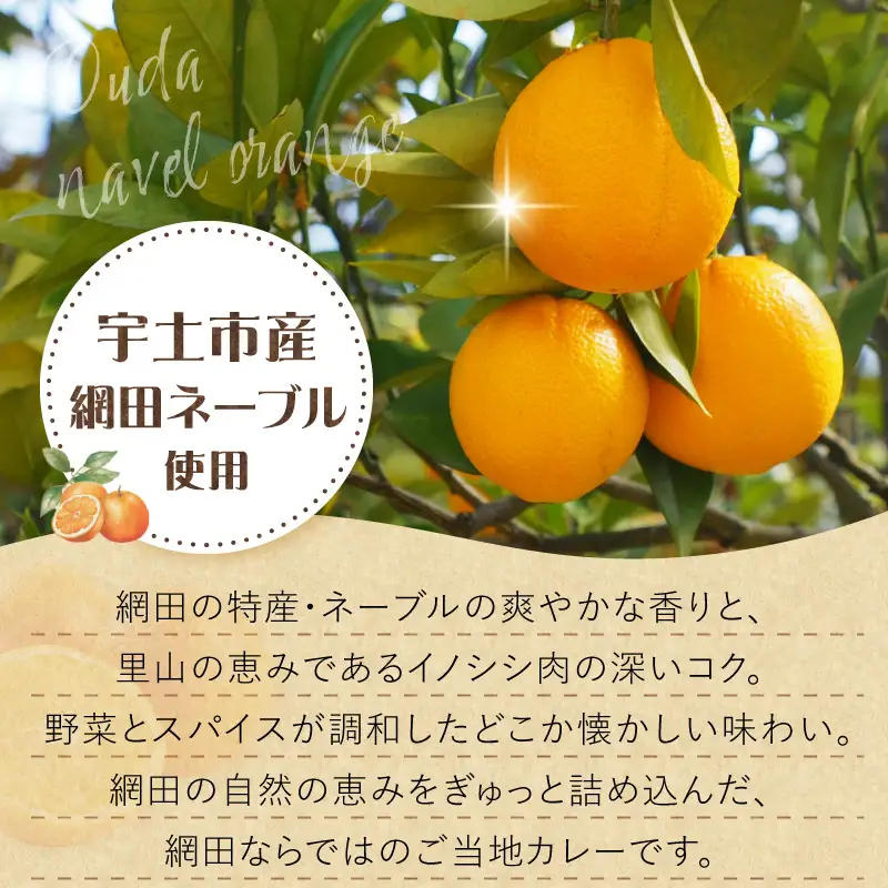 NPO法人網田倶楽部　網田ネーブルカレー_U151-0001