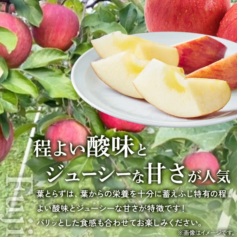 【26年11月下旬～発送】りんご 葉とらず ふじ【上級品】約3kg 先行受付 青森県 弘前市 果物 フルーツ 林檎 リンゴ くだもの ギフト 贈り物 贈答