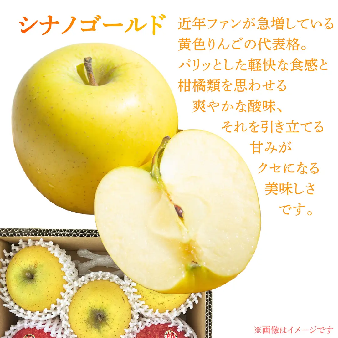 りんご 2種 詰め合わせ 約2.5kg (FB002)