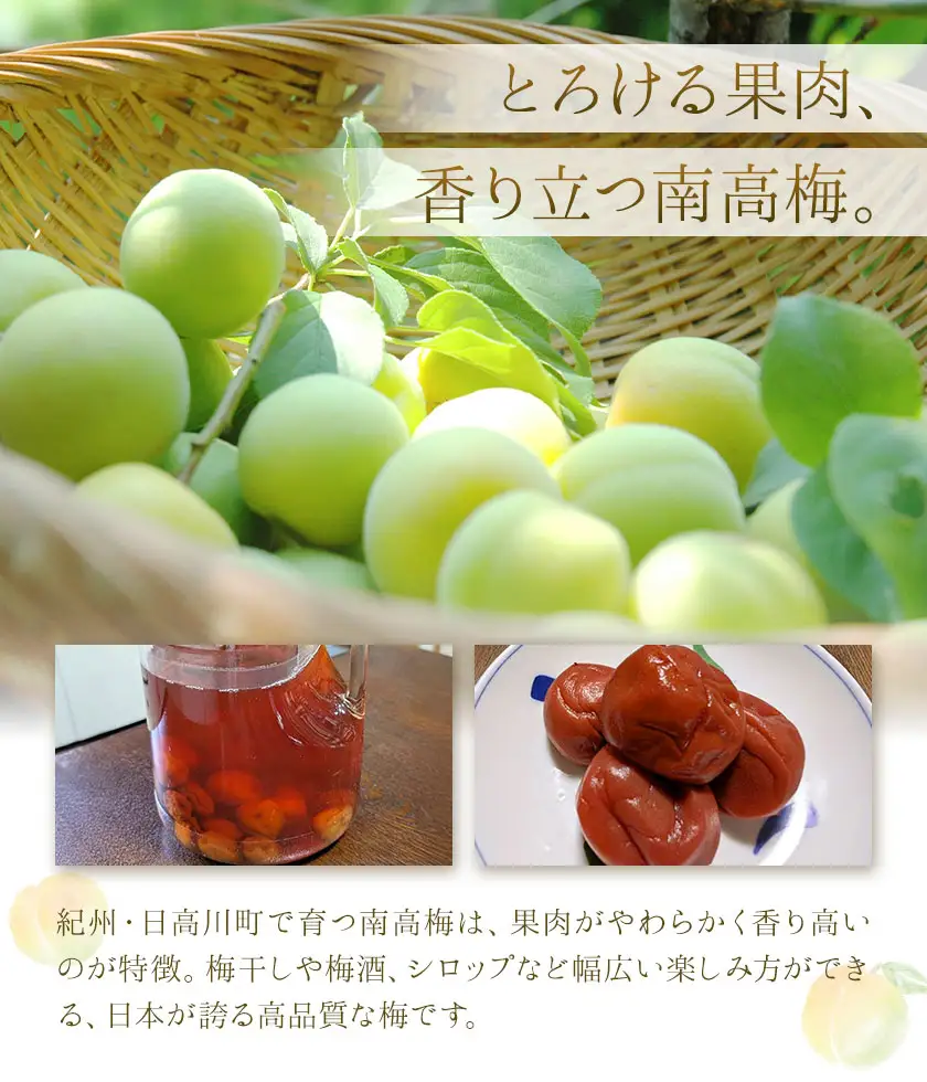  南高梅 約5kg (2L~4L) マル二