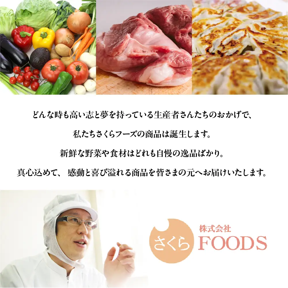 ほの国点心セット 焼き小籠包 春巻き 焼売 簡単 お手軽 中華 お惣菜 夕飯 おかず 愛知県 豊橋市