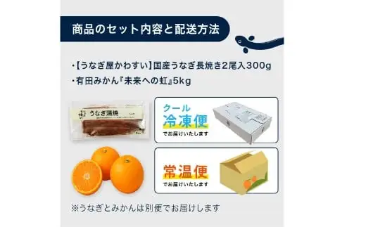 【コラボ】国産うなぎ蒲焼き大サイズ２本セット(うなぎの肝吸い2食付き)＆有田みかん「未来への虹」（5kg）(B1125-1)