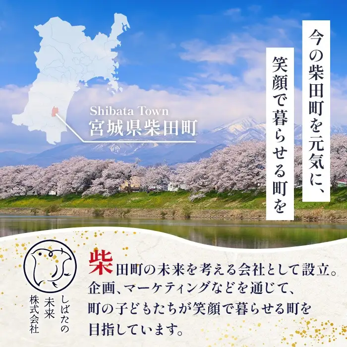 ＜先行予約！2026年10月以降順次発送予定＞【令和8年産 新米】ササニシキ 精米 合計6kg(2kg×3袋) 柴田町産 お米 おこめ 米 コメ 白米 ご飯 ごはん おにぎり お弁当 新米 【しばたの未来株式会社】sh197