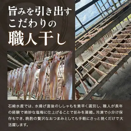 シシャモ 40匹 オス メス 石崎水産 ししゃも