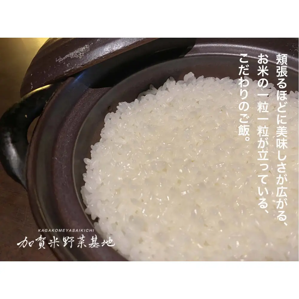 《令和8年産 新米 先行予約》【お米グランプリ3部門受賞】＜有機JAS認証米＞日本一粒の大きいお米『いのちの壱』白米10kg