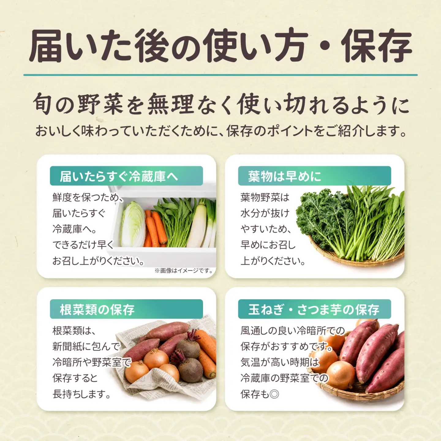 京野菜セット 定期便 5回 30kg オーガニック ぬか床+野菜収穫体験付き