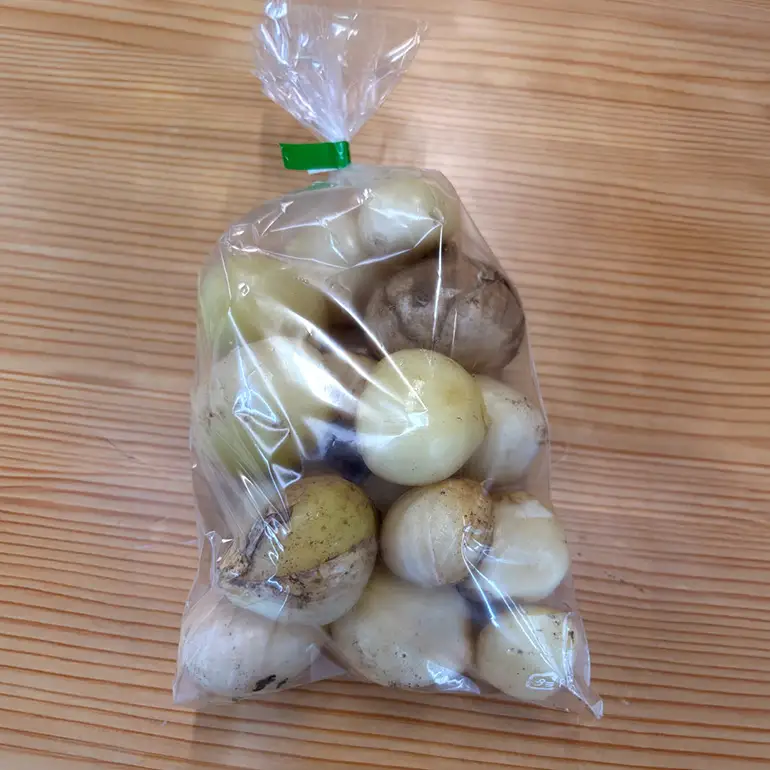 ジャンボにんにく 2kg にんにく 産地直送 茨城県 石岡市 B03-017