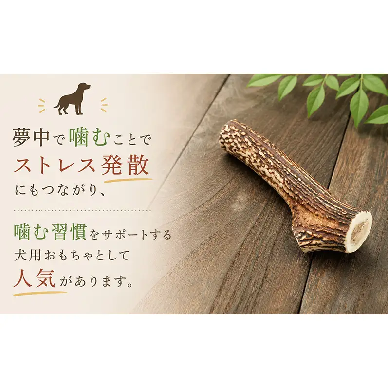 「克じぃの店」の愛犬用鹿角カット（小） おもちゃ ペット用 犬 静岡県 森町