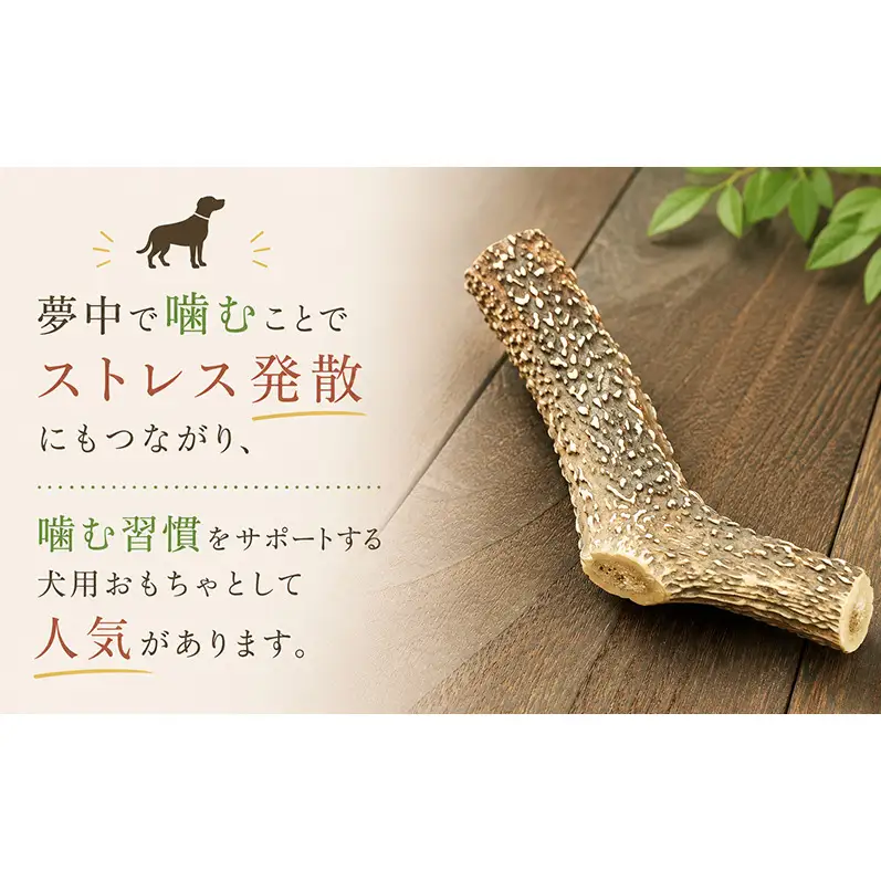 「克じぃの店」の愛犬用鹿角カット（大） おもちゃ ペット用 犬 静岡県 森町