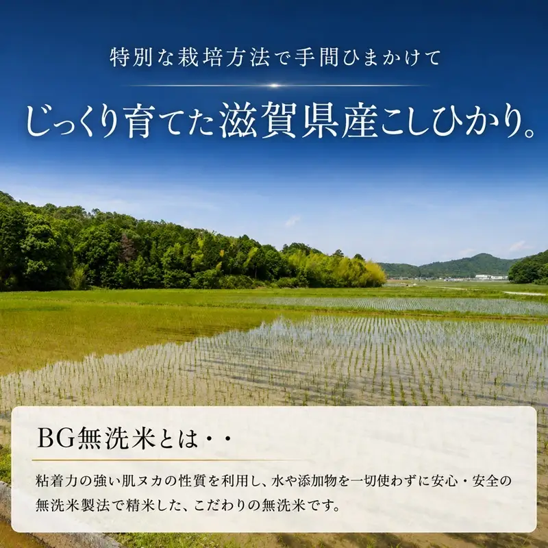 【令和8年産】 先行予約 新米 BG無洗米 コシヒカリ 10kg 10回定期便 令和8年産 定期便 米 無洗 無洗米こめ コメ お米 ご飯 米 こしひかり 米定期便 10か月定期便 10ヶ月定期便 10回 10ヶ月 10か月 滋賀県 豊郷 豊郷町