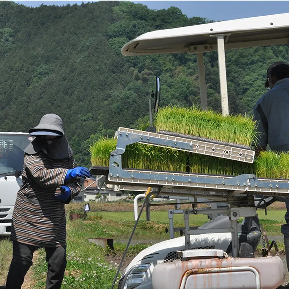 新米 令和8年度産 但馬産 コシヒカリ出石渓流米 5kg ～若手生産者限定・応援プロジェクト～