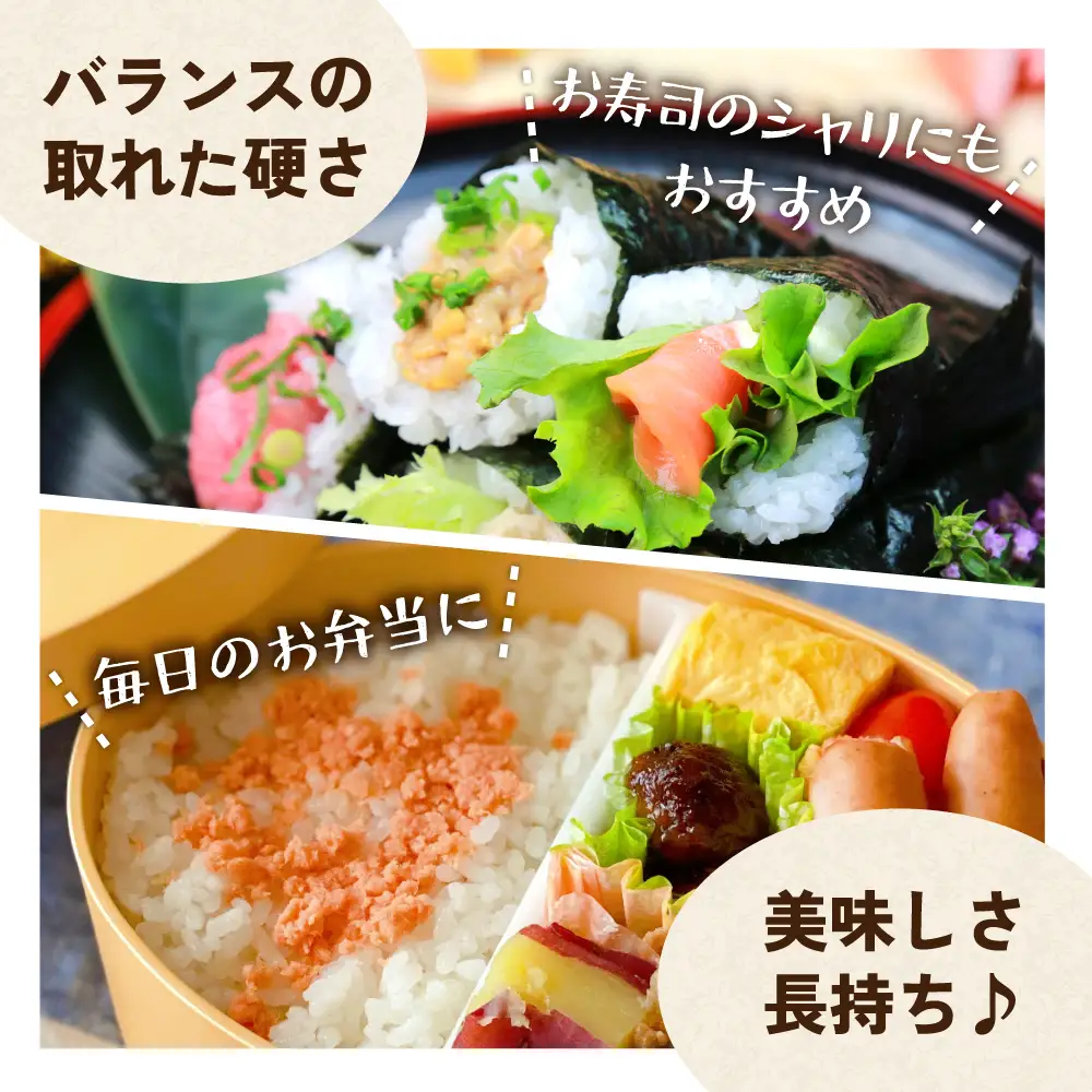 【新米予約】【12ヵ月定期便】 令和8年産 ななつぼし 3kg 無洗米 北海道 留萌産