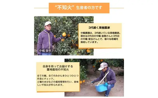 ＜ R8年熊本地震復興支援 ＞訳あり不知火 2kg 不知火 しらぬい デコみかん みかん ミカン 果物 くだもの フルーツ 柑橘類 柑橘系 柑橘 果実 国産 熊本県産 【 2027年1月下旬～4月下旬発送予定 】