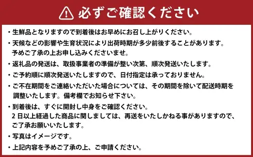 ＜ R8年熊本地震復興支援 ＞極早生みかん 約2.5kg （ 2S ～ 2L サイズ ） くだもの 果物 フルーツ みかん ミカン 果実 果汁 果肉 秋の味覚 国産 熊本県産 旬 【 2026年10月上旬～11月上旬発送予定 】