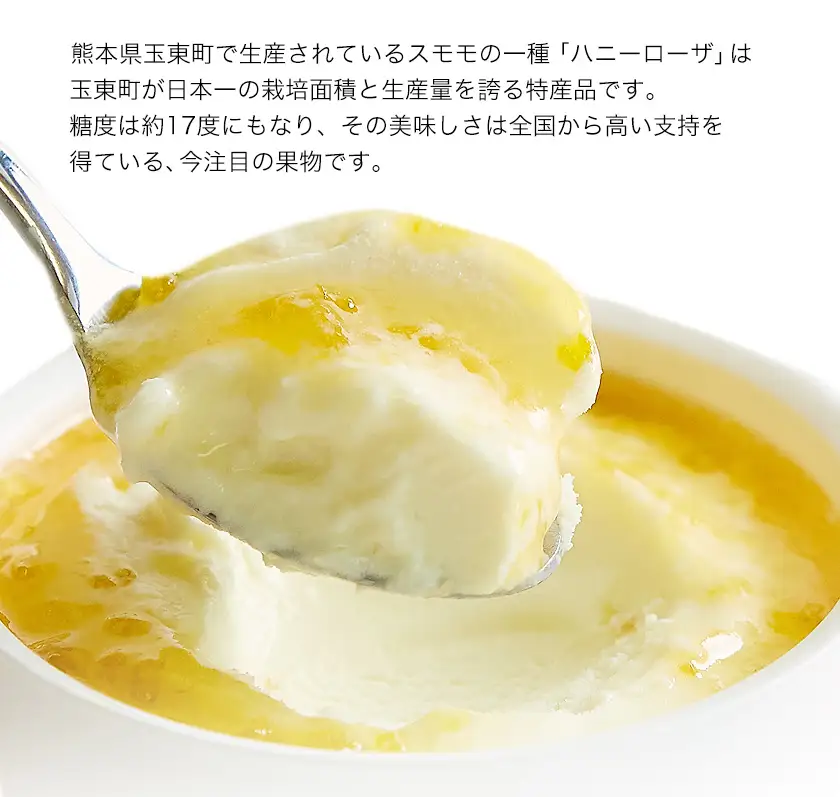 糖度17度の甘さ♪ハニーローザアイスクリーム 120ml 6個 熊本県 玉名郡 玉東町 すもも ハニーローザ アイス ぷらっとぎょくとう