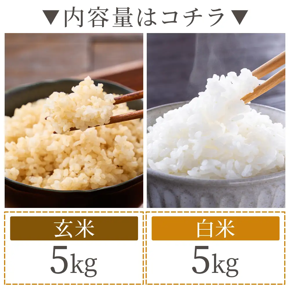 ミルキークイーン 10kg 令和8年産 白米玄米 ミルキークイーン 玄米 sr-0017