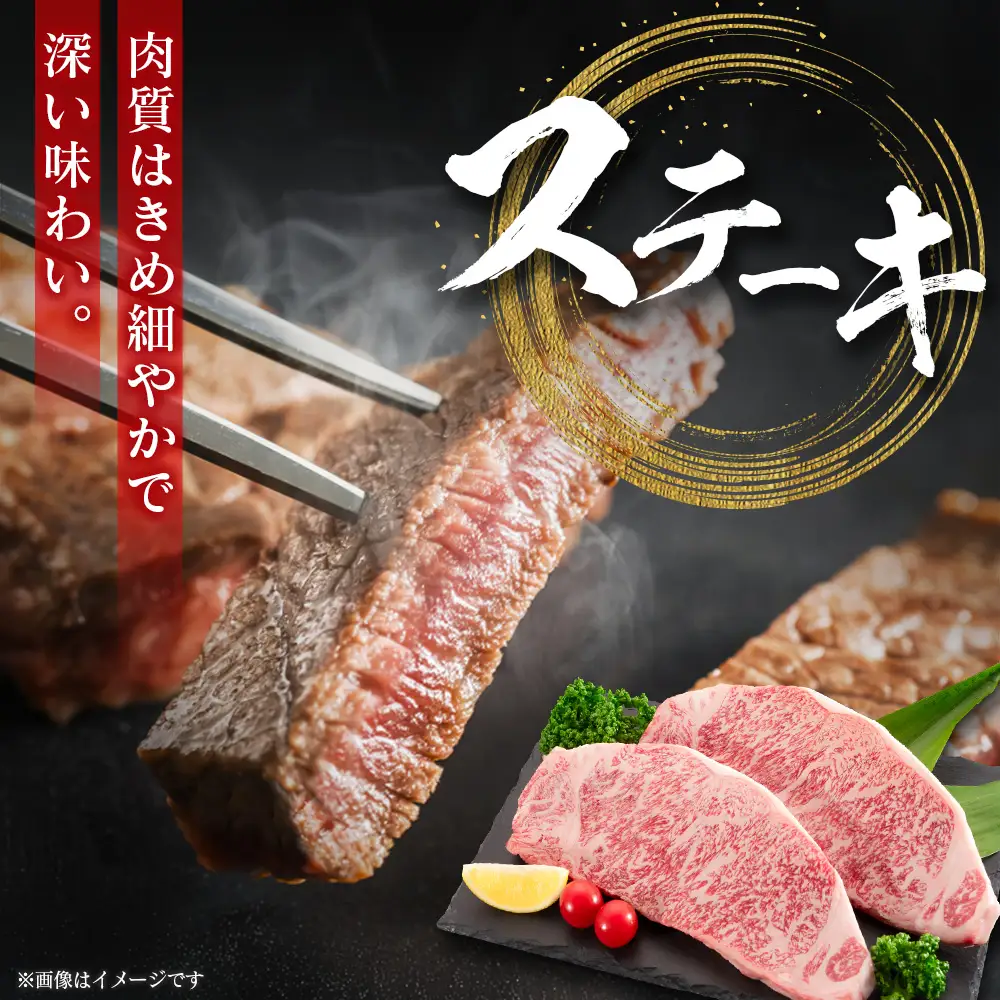 宮崎牛 プレミアム定期便 全3回 肩ロース 牛モモ ロースステーキ 焼肉 スライス 黒毛和牛 E272