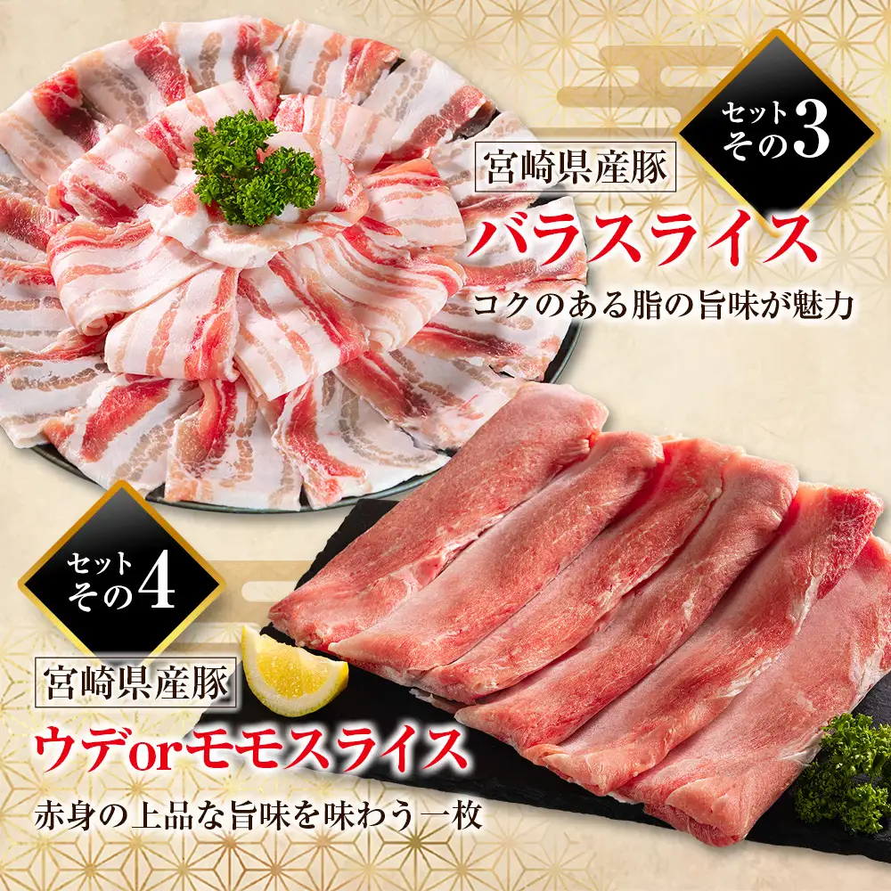 《総量10kg以上!!》豚肉 3回 隔月 定期便 バラエティセット 宮崎県産 食べ比べ 国産 E273
