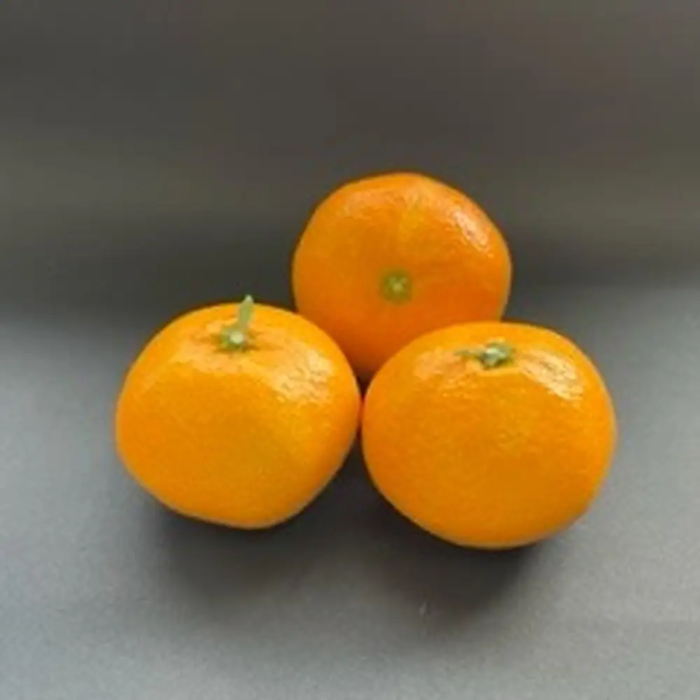 峰農園のゆたたりみかん 【 プレミアム 】 約5kg ミカン みかん 蜜柑 プレミアムみかん 柑橘 柑橘類 柑橘系 果物 くだもの フルーツ 果実 果肉 果汁 贈り物 プレゼント 国産 佐賀県産 【 2026年12月上旬～2027年1月下旬まで順次発送予定 】