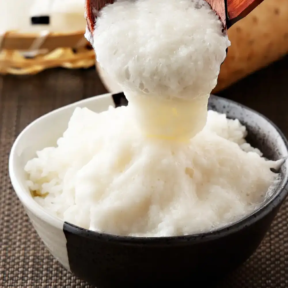 青森県産 冷凍長芋とろろパック プレーン+味付き 各50g×10個【青森県産 とろろ 冷凍 長芋 山芋 青森 七戸町 送料無料 小分け 個梱包 とろろパック ご飯のお供】【02402-0482】