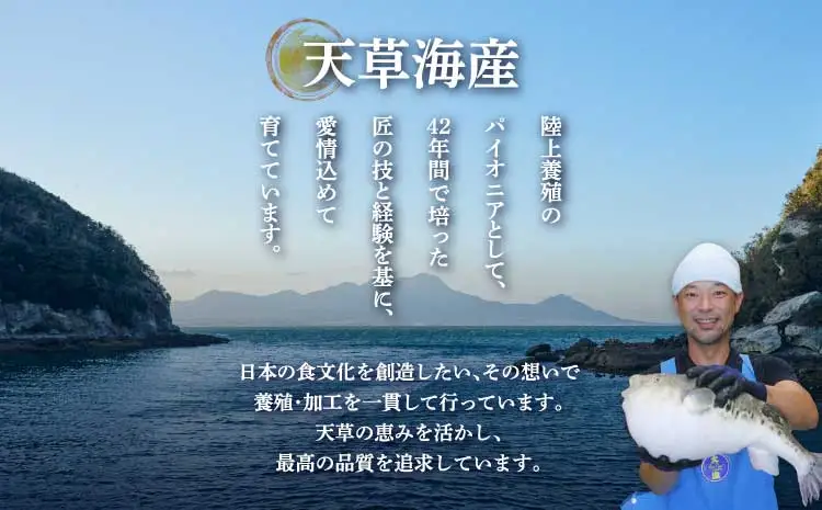 令和8年熊本地震復興支援 【2回定期便】【ミシュラン星付きのプロが愛用】ふぐの王様！とらふぐ 国内最高級！天草とらふぐセット〈熊本地震復興応援〉